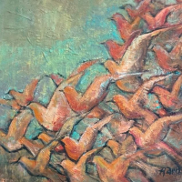 Ayşe Gönül Anıl