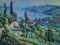 Feridun Saraçoğlu