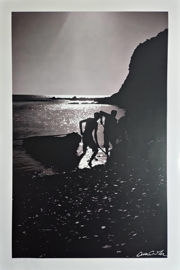 ARA GÜLER (1928-2018)