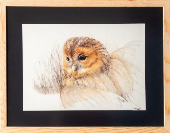 Gamze Aksoy Alaçam 