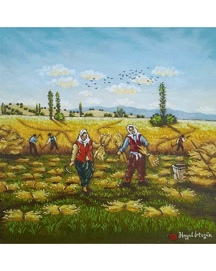 Hayal İrtegün