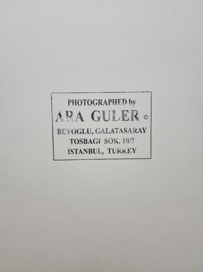 thumbAra Güler