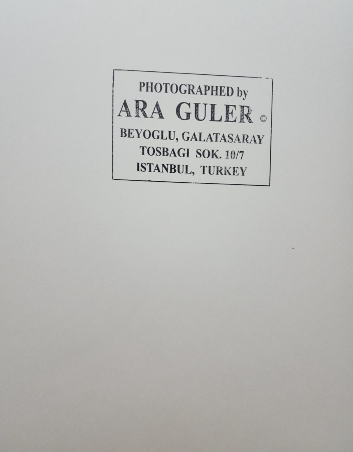 thumbAra Güler