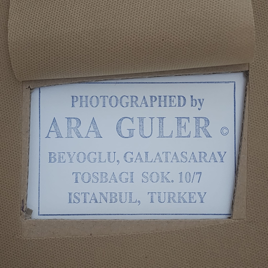 thumbAra Güler
