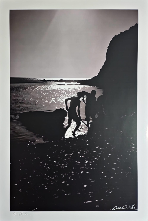 ARA GÜLER (1928-2018)