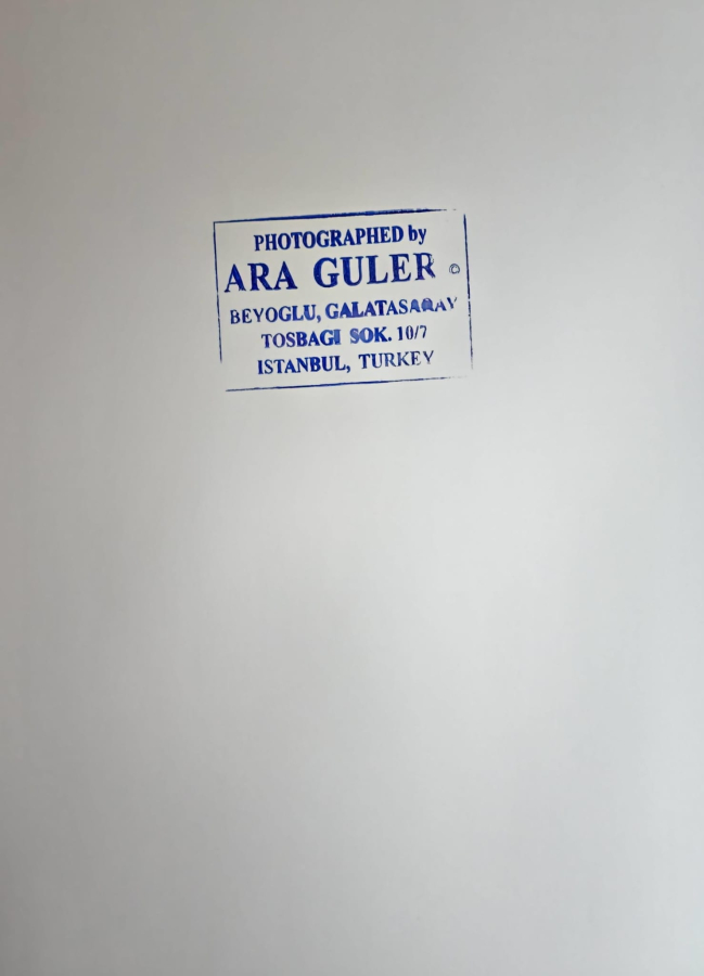 thumbARA GÜLER (1928-2018)