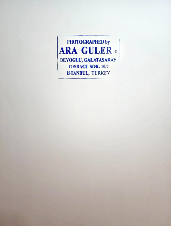 thumbARA GÜLER (1928-2018)