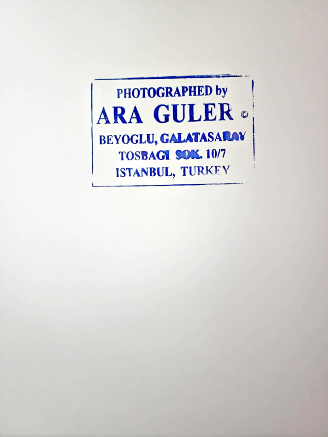 thumbARA GÜLER (1928-2018)