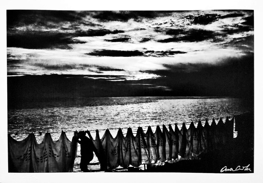 ARA GÜLER (1928-2018)