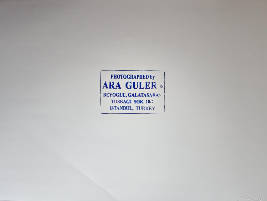 thumbARA GÜLER (1928-2018)