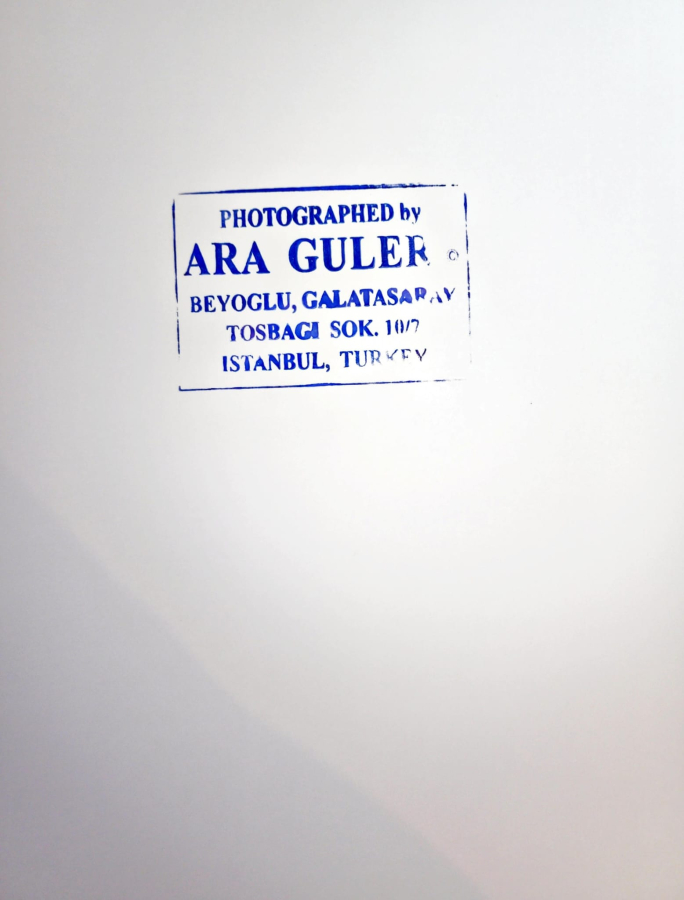 thumbARA GÜLER (1928-2018)