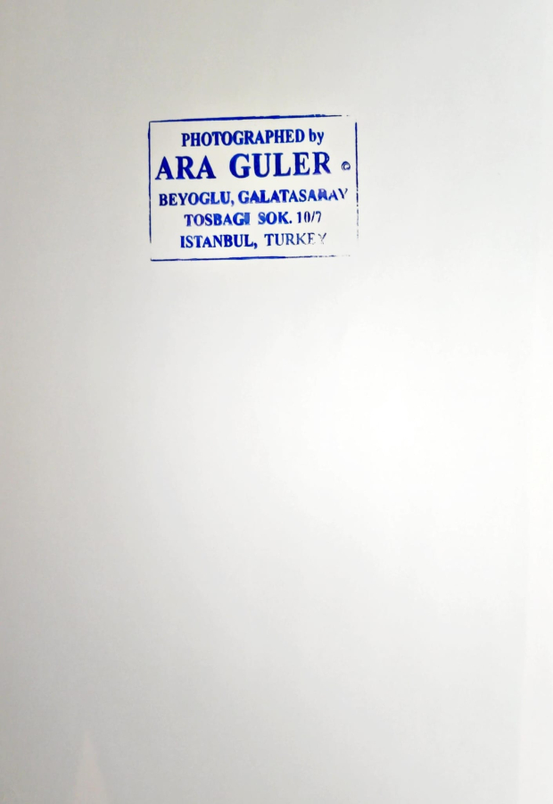 thumbARA GÜLER (1928-2018)