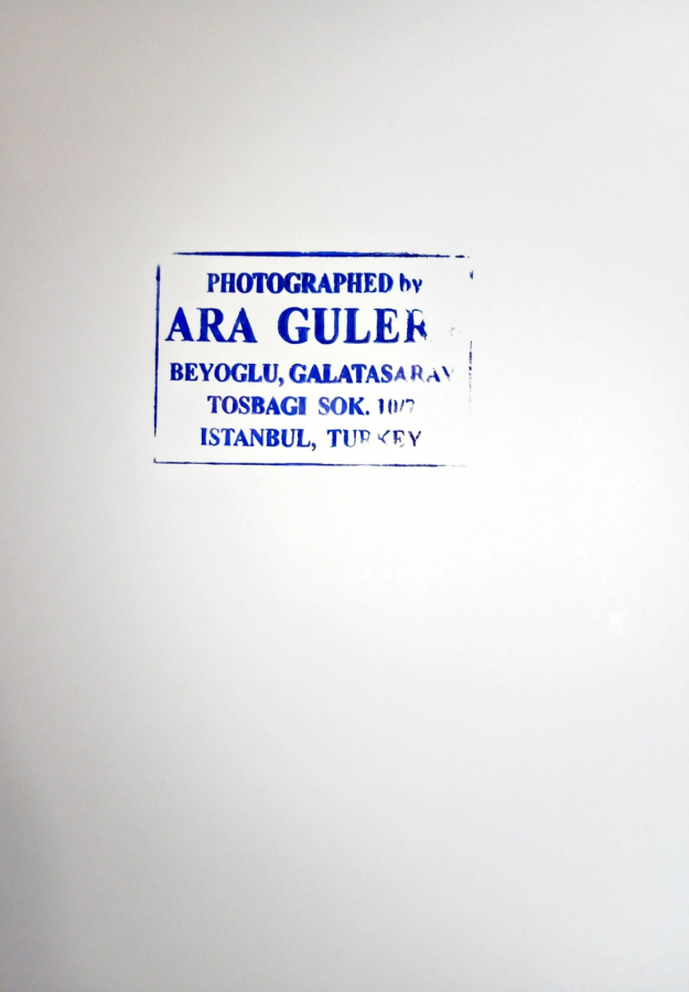 thumbARA GÜLER (1928-2018)