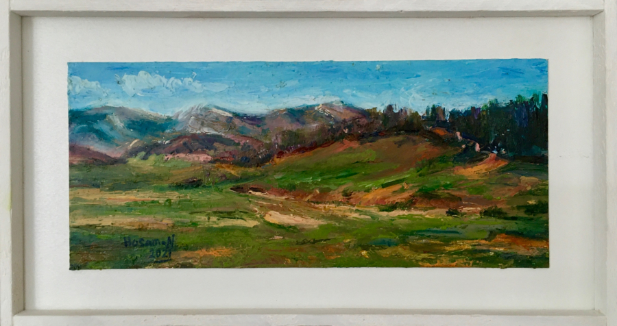 thumbHosam Nourhashemi